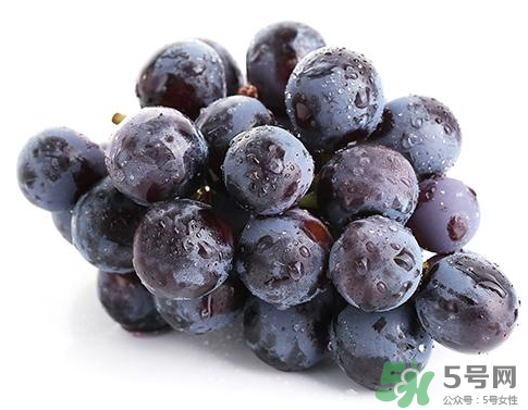 夏黑葡萄是轉(zhuǎn)基因嗎？夏黑無籽葡萄是不是轉(zhuǎn)基因的？