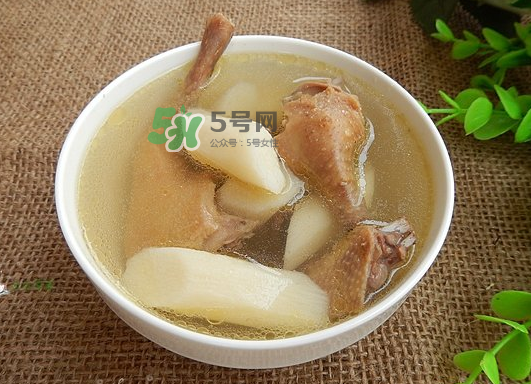 三伏天能吃鴿子嗎？三伏天能喝鴿子湯嗎？