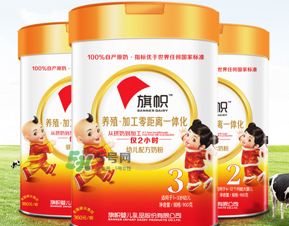 旗幟奶粉怎么樣？旗幟奶粉好不好？