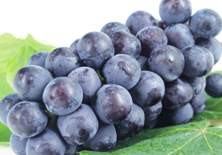 紅提好吃還是黑提好吃？黑提對(duì)身體有什么好處