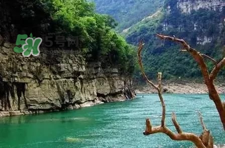 漂流需要準(zhǔn)備什么東西？漂流哪里最好玩？