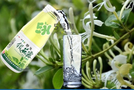 金銀花露可以冷藏嗎？金銀花露能放冰箱嗎？