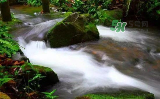 漂流需要準(zhǔn)備什么東西？漂流哪里最好玩？