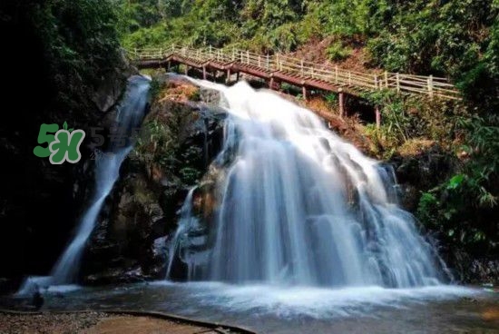漂流需要準(zhǔn)備什么東西？漂流哪里最好玩？