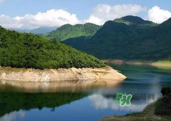 漂流需要準(zhǔn)備什么東西？漂流哪里最好玩？