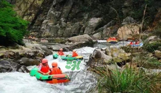 漂流需要準(zhǔn)備什么東西？漂流哪里最好玩？