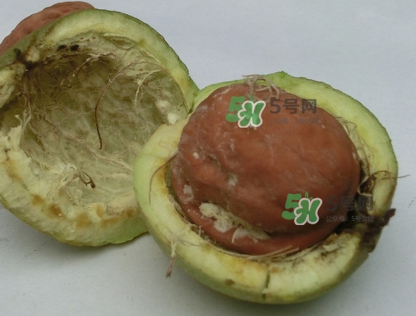 核桃最外面的青皮有什么用？為什么摸了核桃的青皮手會黑？