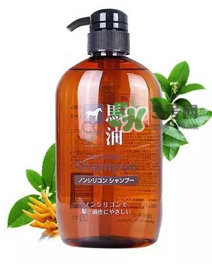熊野馬油洗發(fā)水起頭屑嗎？KUMANO洗發(fā)水用完長頭屑嗎？