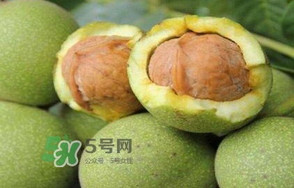 一斤青皮核桃退皮后剩多少？青皮核桃和普通核桃的區(qū)別