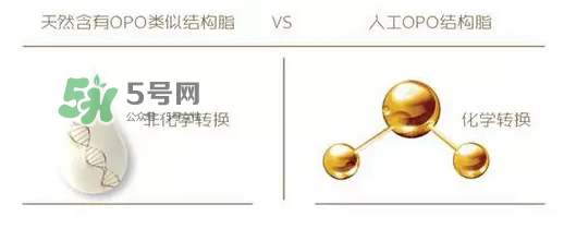 奶粉里面的OPO是什么？opo是天然的還是后期添加的？
