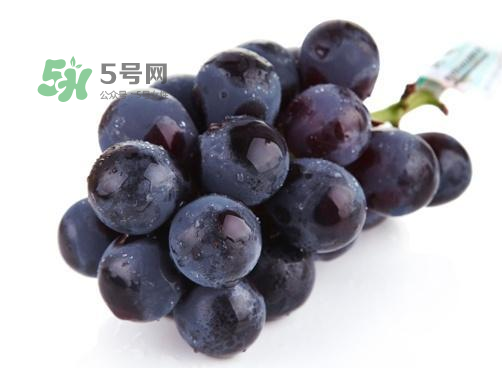 巨峰葡萄是酸性還是堿性？巨峰葡萄是堿性的嗎？