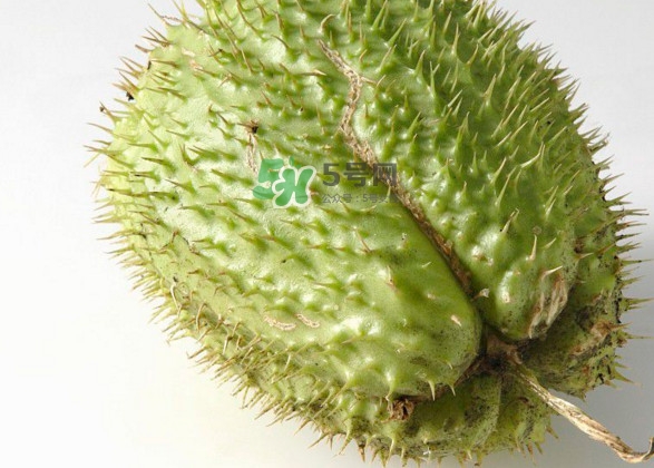 刺果番荔枝多少錢一斤？刺果番荔枝哪里有賣？