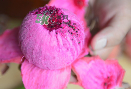 紅心火龍果一天吃幾個？紅心火龍果一天吃多少？