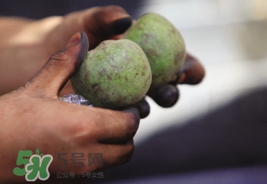 青皮核桃哪里有賣？哪里可以買到青皮核桃