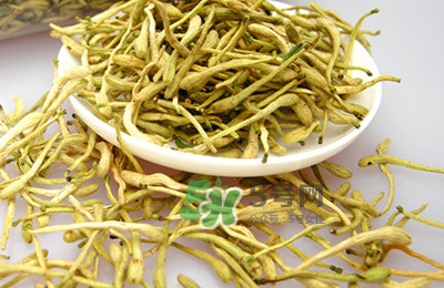 金銀花茶是去火的嗎？金銀花茶有什么功效與作用