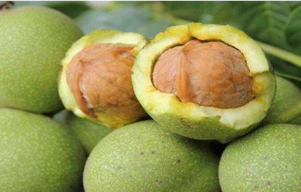 青皮核桃貴還是買去皮的貴？青皮核桃種植方法