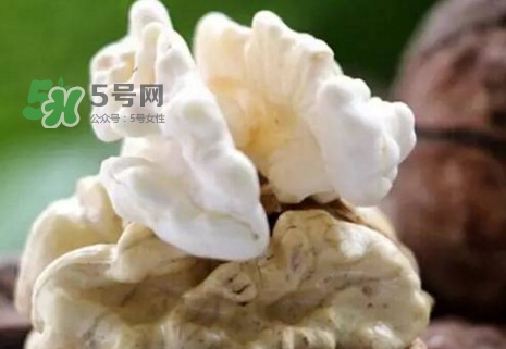 青皮核桃?guī)捉锍鲆唤锔珊颂?？青皮核桃什么時候成熟