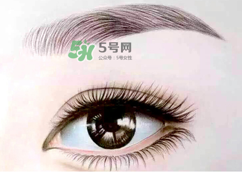 三伏天能紋眉嗎？三伏天紋眉毛好嗎？