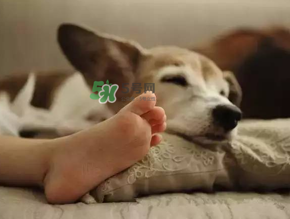 點20盤蚊香開空調(diào)睡中毒 開空調(diào)能點蚊香嗎？