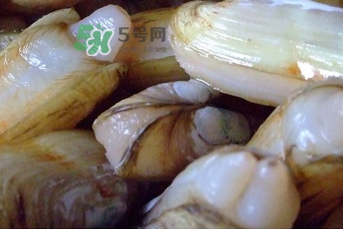 蟶子怎么抓？孕婦能吃蟶子嗎