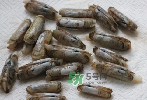 蟶子多少錢一斤？蟶子為什么撒鹽就出來