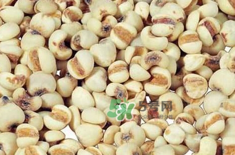 川貝母可以直接吃嗎？川貝母可以泡水喝嗎