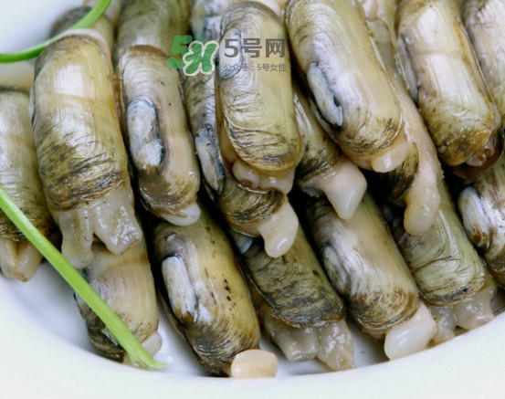 蟶子怎么抓？孕婦能吃蟶子嗎