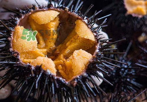 海膽可以冷凍儲存嗎？什么人不能吃海膽