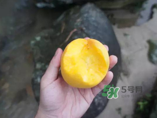 炎陵黃桃什么時(shí)候成熟？炎陵黃桃好吃嗎？