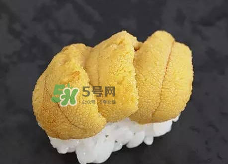 海膽怎么處理？海膽可以生吃嗎？