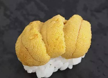 活海膽怎么殺？海膽怎么開殼？