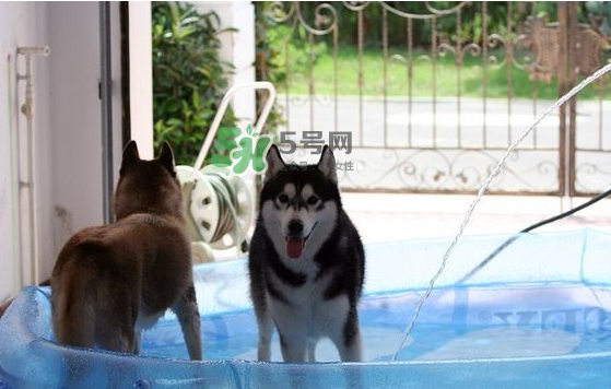 2017年8月份熱嗎？2017年陰歷八月份熱嗎？