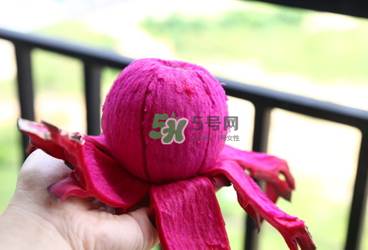 紅心火龍果能天天吃嗎？每天吃一個紅心火龍果好嗎？