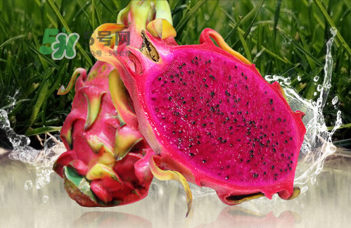 紅心火龍果可以減肥嗎？紅心火龍果能減肥嗎？