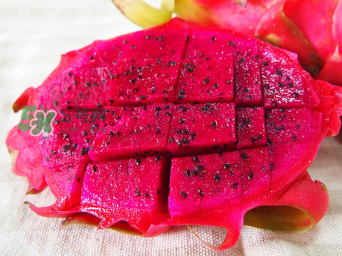 紅心火龍果可以減肥嗎？紅心火龍果能減肥嗎？