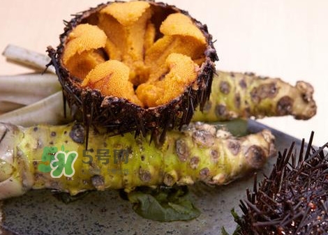 被海膽刺到怎么辦？吃海膽對(duì)身體有什么好處