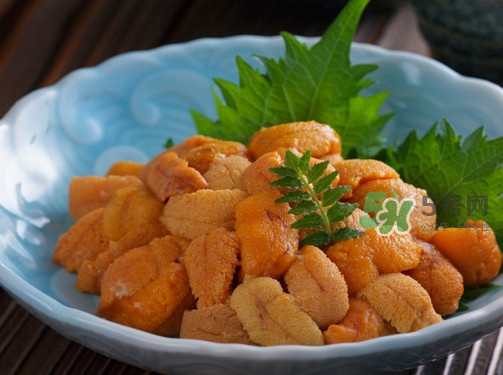 海膽怎么做好吃？買海膽怎么挑