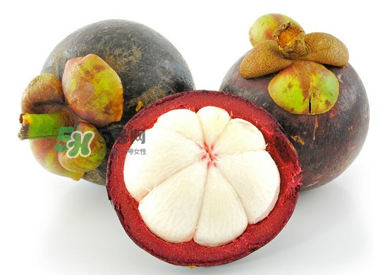 山竹硬的好還是軟的好？山竹硬了就壞了嗎？