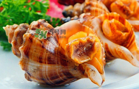 為什么海螺殼里面會有聲音？海螺和韭菜能不能一起吃