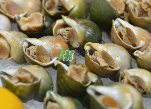 海螺怎么做好吃？海螺怎么清洗干凈
