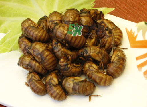 金蟬和蝦能一起吃嗎？孕婦吃完蝦能吃金蟬嗎？