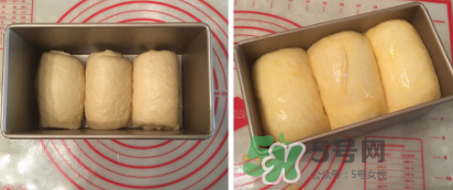 北海道吐司 北海道吐司的做法 北海道吐司 北海道吐司的做法