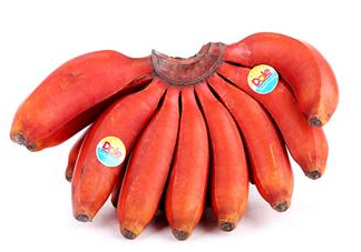 紅香蕉是哪里的特產(chǎn)？紅香蕉什么時(shí)候成熟？