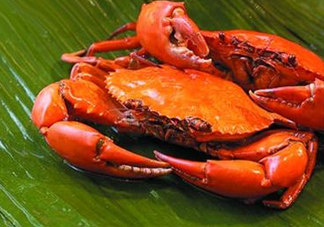赤甲紅蒸多長(zhǎng)時(shí)間好？赤甲紅好還是飛蟹好