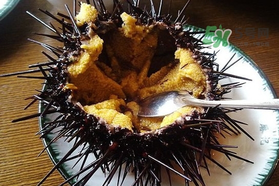 海膽黃一次吃多少克合適？海膽里面黑色的能吃嗎