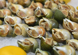 海螺怎么做好吃？海螺怎么清洗干凈