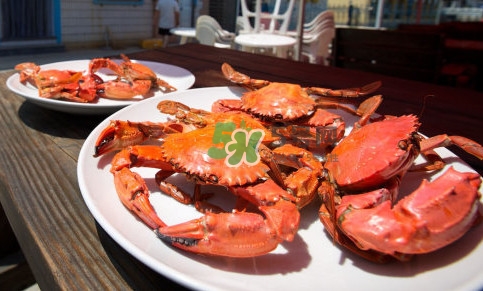 赤甲紅海蟹多少錢(qián)一斤？2017赤甲紅海蟹價(jià)格