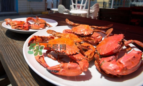 赤甲紅有母蟹嗎？赤甲紅為什么沒有母蟹？