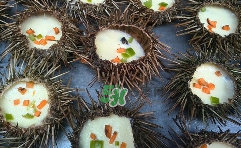 海膽死了還能吃嗎？海膽不能跟什么一起吃