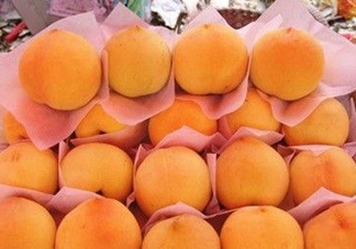 錦繡黃桃什么時(shí)候成熟？錦繡黃桃?guī)自鲁墒欤?><p><strong>錦繡黃桃什么時(shí)候成熟？錦繡黃桃?guī)自鲁墒欤?/strong></p></a></li> <li><a href=